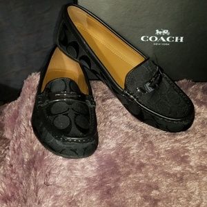 Coach shoes